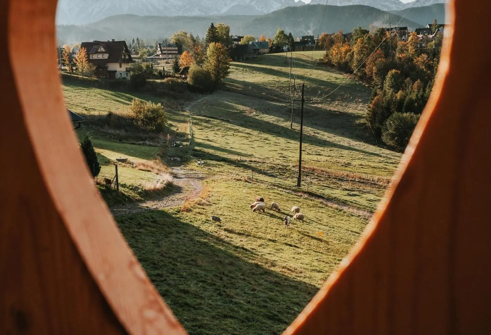 Domek alpejski Willa Mountain Base - Dom Hrabiego - Ac Zakopane Polska